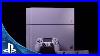 Playstation_4_20th_Anniversary_Edition_Detailed_Unboxing_01_riut
