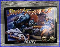 Street Fighter II 2 30th Anniversary iam8bit Limited Edition Super Nintendo SNES